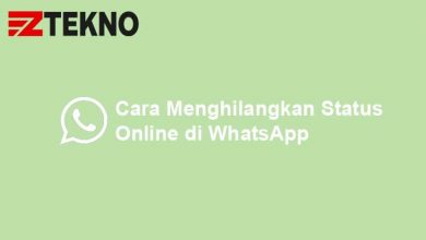 Cara Menghilangkan Status Online di WhatsApp