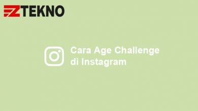 Cara Age Challenge Instagram