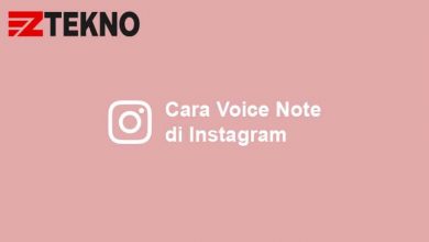 Cara Voice Note di Instagram