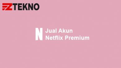 Jual Akun Netflix Premium