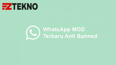 WhatsApp MOD