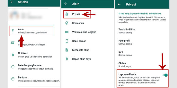 3 Cara Melihat Status Whatsapp Tanpa Diketahui Pemiliknya Ampuh