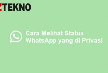 Cara Melihat Status WhatsApp yang di Privasi