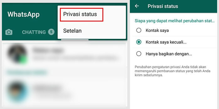 Pengaturan Dalam Privasi Status WhatsApp