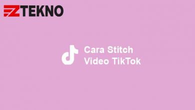 Cara Stitch Video TikTok